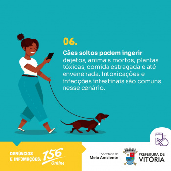 Campanha orienta sobre a importância de usar coleira e guia no passeio com pets