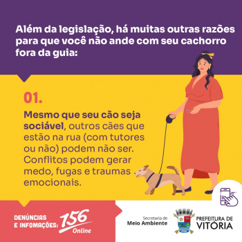 Campanha orienta sobre a importância de usar coleira e guia no passeio com pets