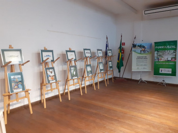 Exposição Manguezal Múltiplos Olhares estará na escola Adelvani Azevedo