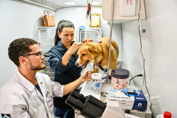 Atendimento Vet Móvel