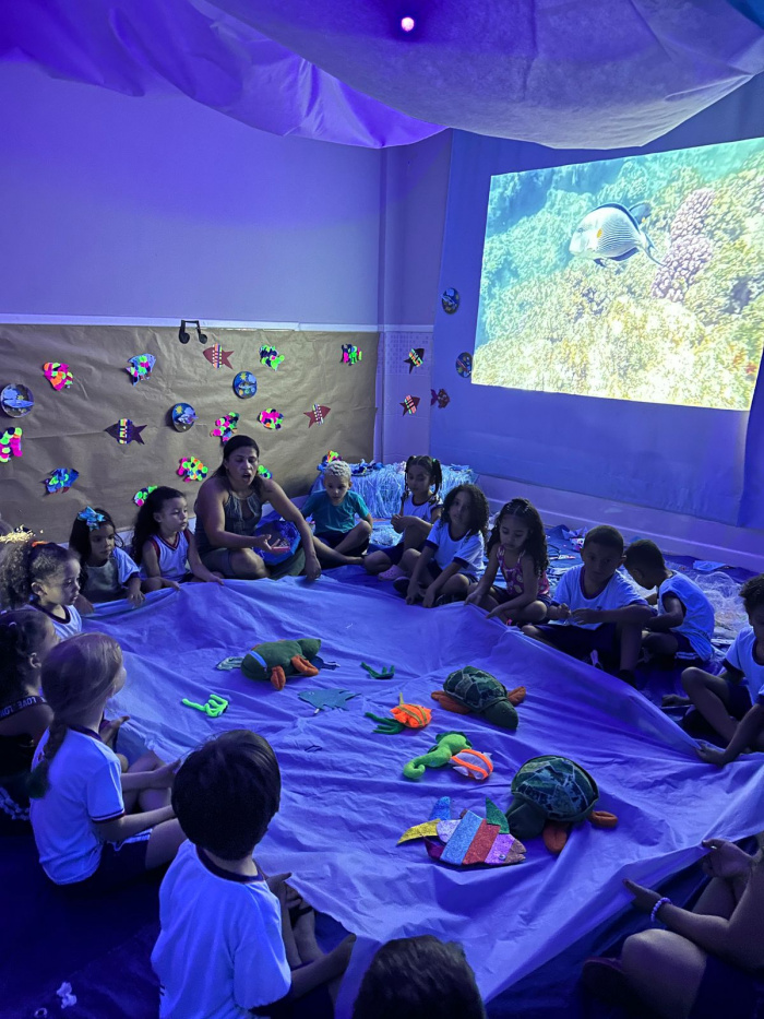 Cmei Reinaldo Ridolfi