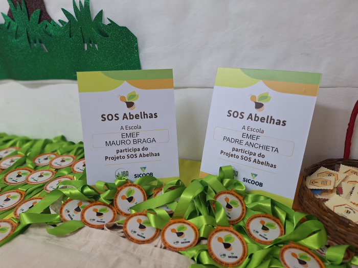 SOS Abelhas: projeto engaja alunos no cuidado com o meio ambiente