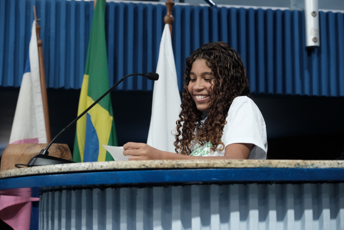 Guardiões mirins