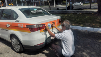 Pet Friendly: taxistas e motoristas de aplicativo transportam os pets com segurança e conforto