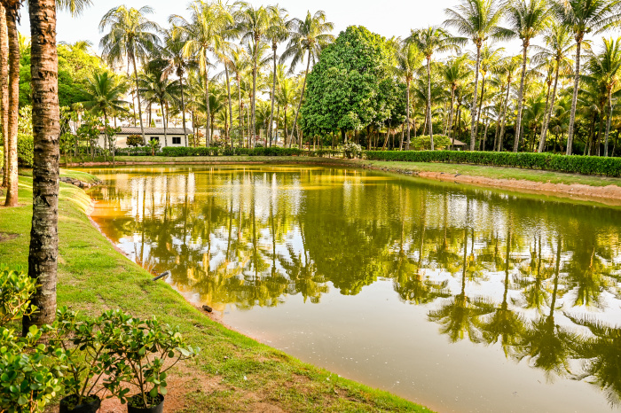 Parque da Fazendinha