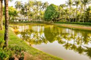 Parque da Fazendinha