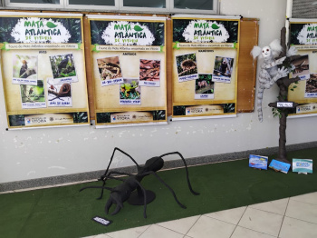 Crianças do CMEI Geisla da Cruz Militão vivenciam educação ambiental