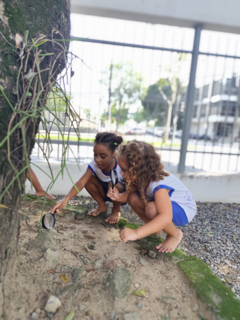 CMEI Lídia Rocha Feitosa celebra o Dia do Brincar com espaços lúdicos para as crianças