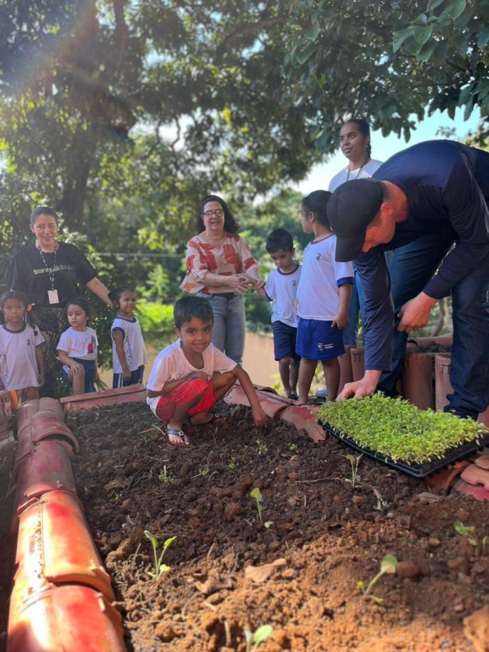 Horta escolar no CMEI Ocarlina Nunes Andrade
