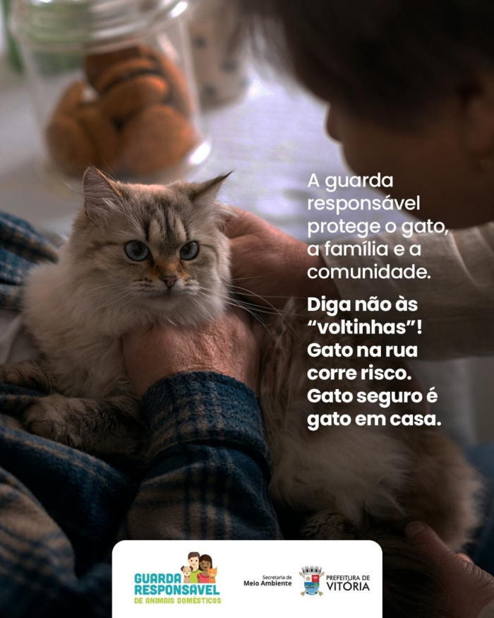 Campanha gato seguro