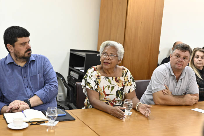 Reunião Regional 6