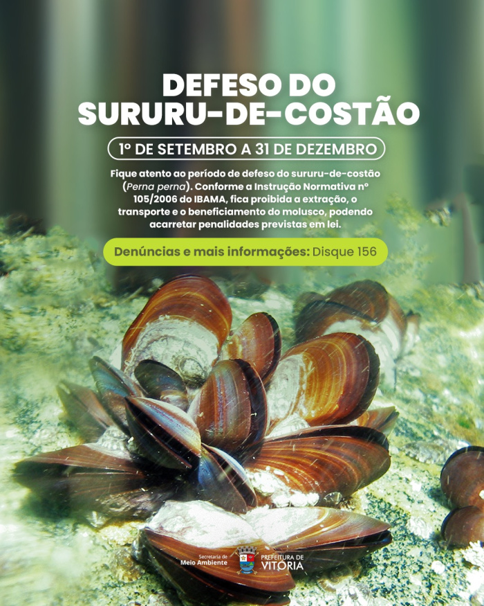 Defeso do sururu