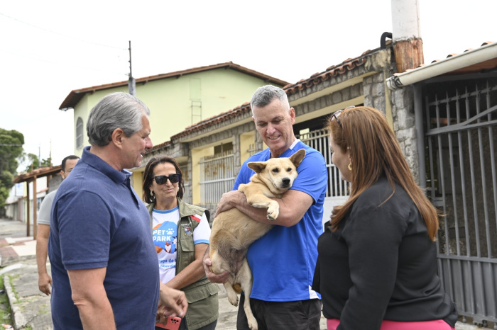 Portal de Adoção de Vitória: o clique que mudou para sempre o coração de duas cadelinhas