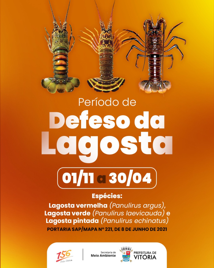 Defeso da lagosta