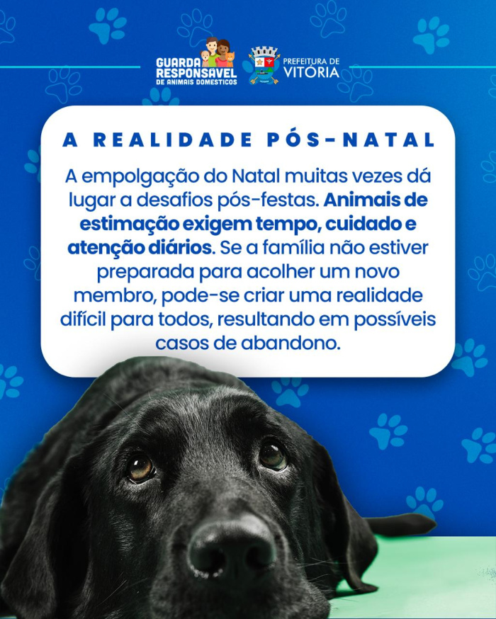 Animal não é presente
