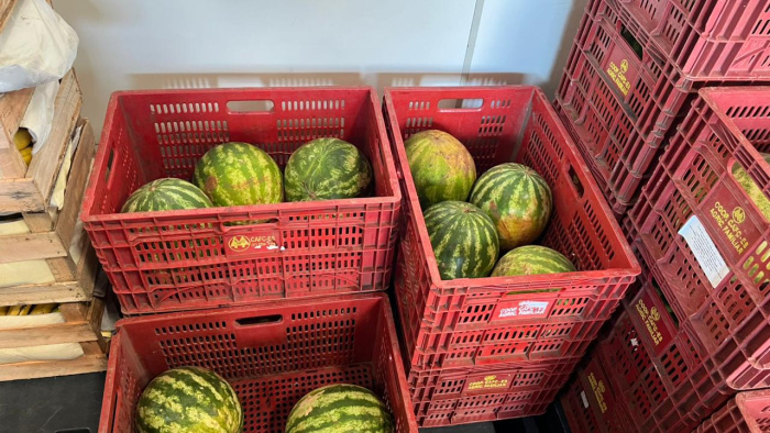 Banco de Alimentos recebeu e distribuiu 5,6 toneladas de alimentos nos primeiros 15 dias de janeiro