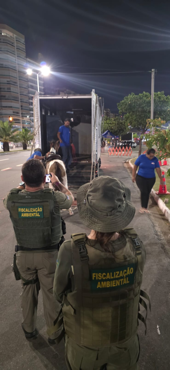 Dupla a cavalo é detida com drogas durante ação da Guarda Municipal em Camburi