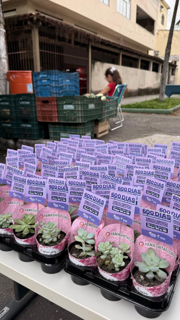 maria da penha vai a feira no bairro república