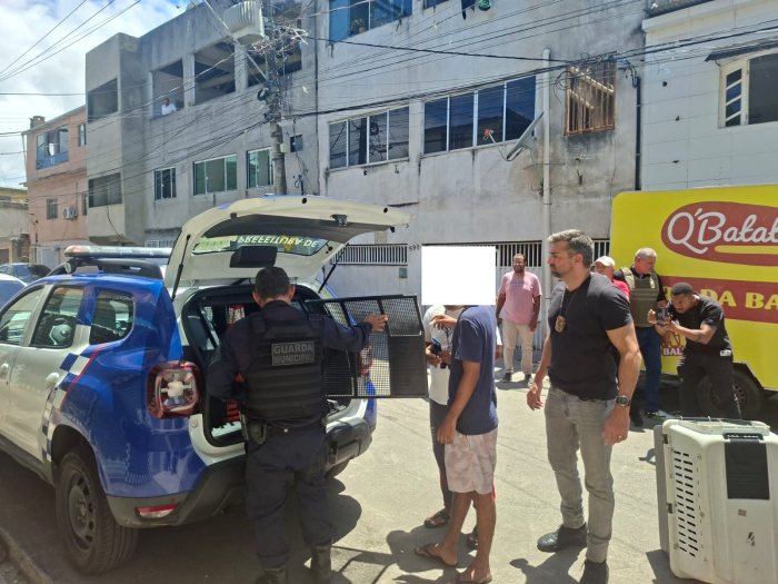 Homem é detido por maus-tratos animais em ação conjunta