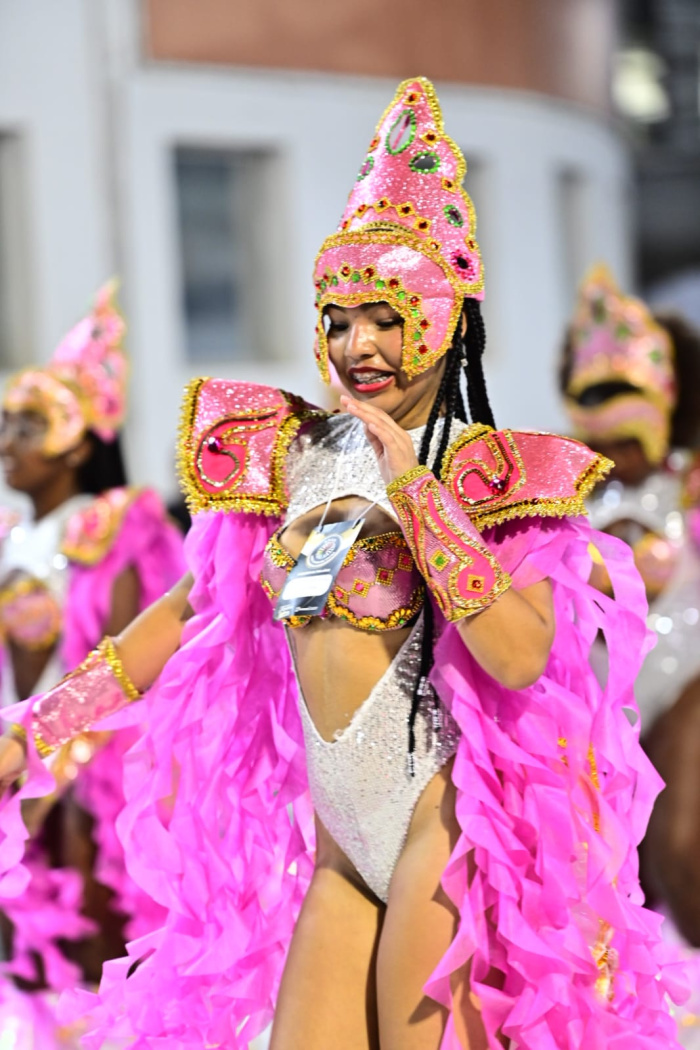 União Jovem de Itacibá leva a literatura brasileira para a avenida e transforma o desfile em viagem