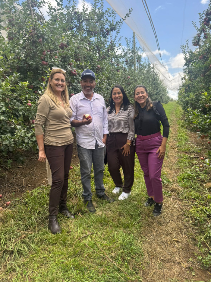 Equipe da Gerência de Gestão Escolar faz visita técnica em Santa Catarina