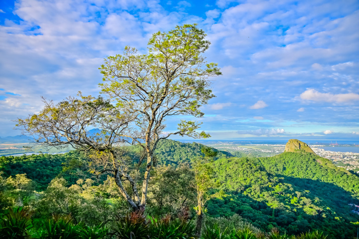 Parque da Fonte Grande - Panorâmica à partir do Novo Mirante da Cidade