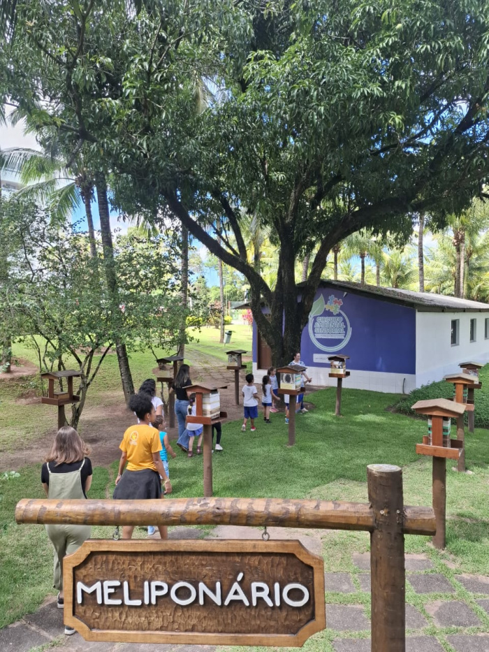 Estudantes vivenciam ação sobre abelhas sem ferrão no REVIS Mata Paludosa