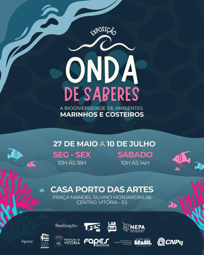 Cartaz divulgação