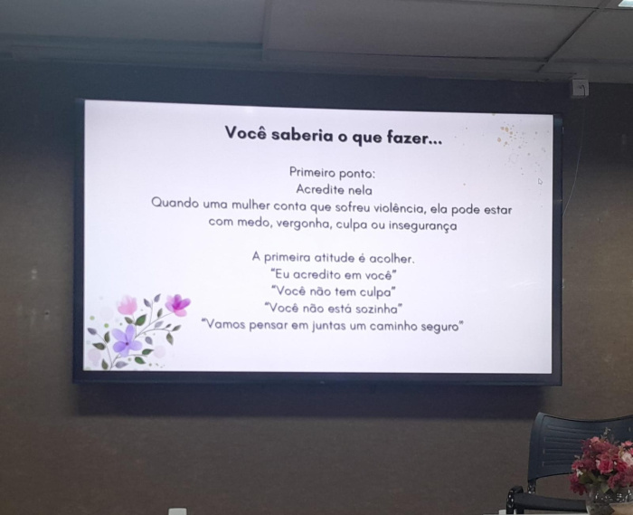 formacao para profissionais rede de proteção à mulher