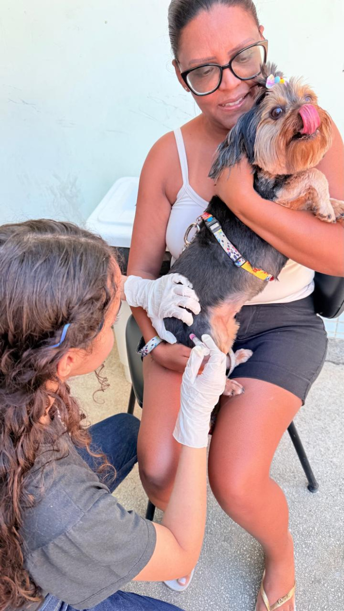 Vitória vacina mais de 8,1 mil cães e gatos no primeiro dia de campanha antirrábica