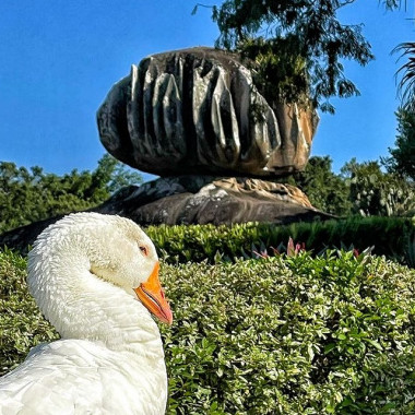 Parque Pedra da Cebola (use a #eusouvitória e sua foto pode aparecer aqui)