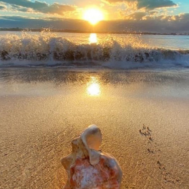 Praia de Camburi (use a #eusouvitoria e sua foto pode aparecer aqui)